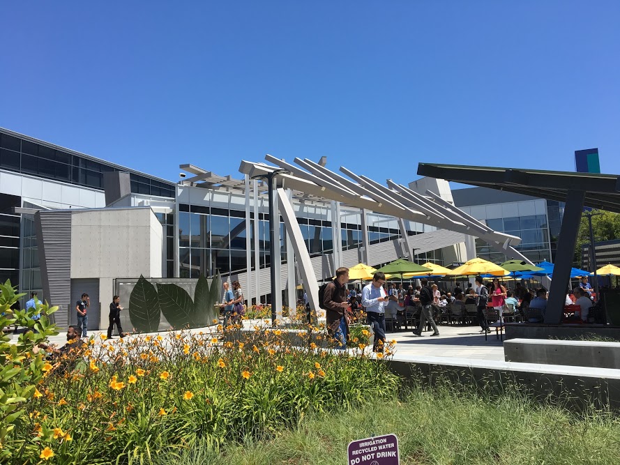 Googleplex Lunch
